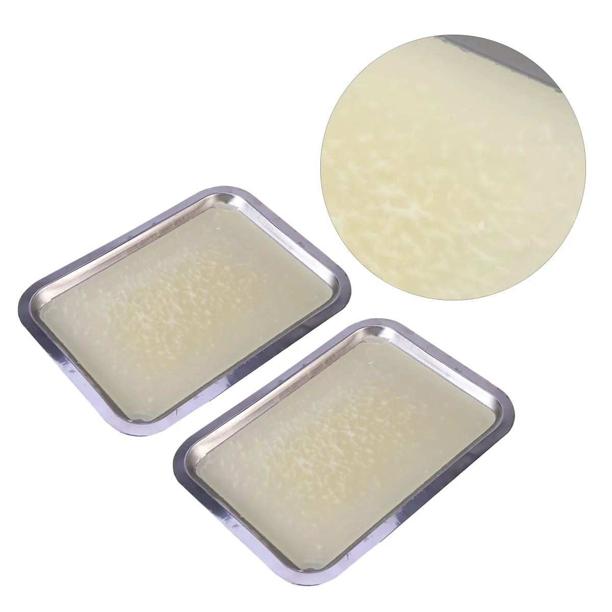 

Anatomical Dish Wax Tray Biological Laboratory Equipment Plate Classroom Toolss