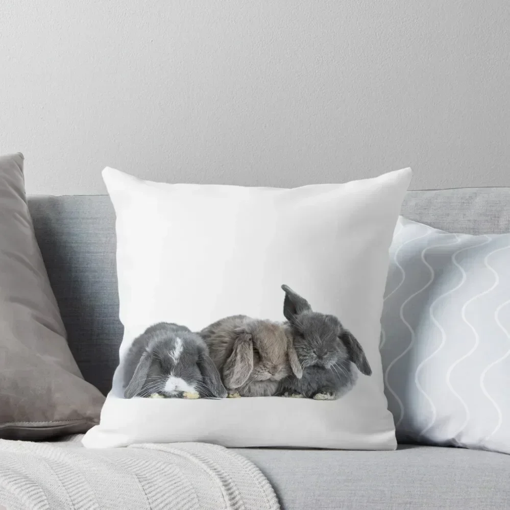 

Mini Lop Baby Rabbits Throw Pillow Cushion Cover Set Custom Cushion Christmas s Covers pillows decor home pillow