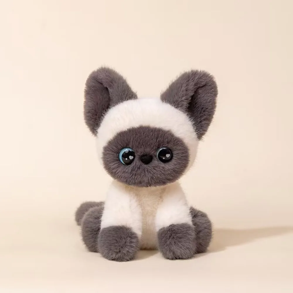 

Stuffed Animal Siamese Cat Plush Cute Sitting Desktop Ornament Stuffed Devon Rex Kitten Doll 24CM Cat Plush Doll Xmas Gifts