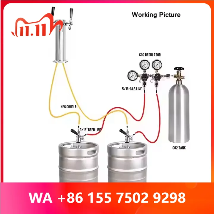 Double Tap Beer Conersion Kit Stainless Steel Keg Tower BeerConersion With Dual Gauge Co2 Regulator D/A/S/G System Keg Coupler