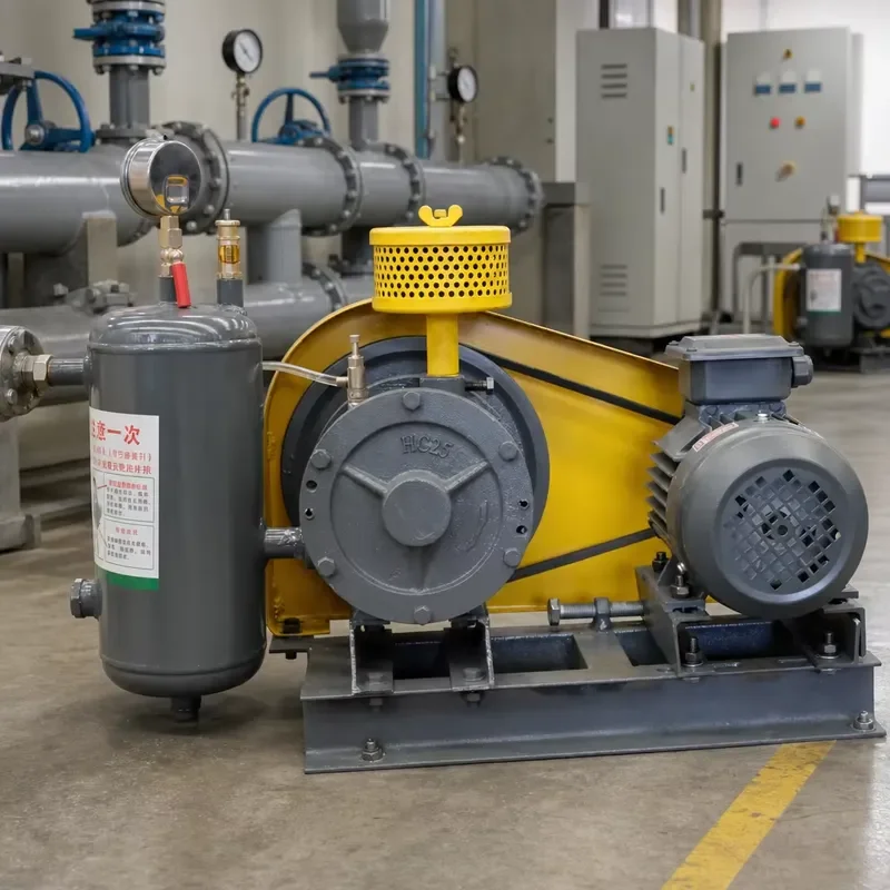 Rotary Blower Pump Factory Wholesale Complete Unit Low Noise 1 Year Warranty CN for Wastewater Aeration Project Use