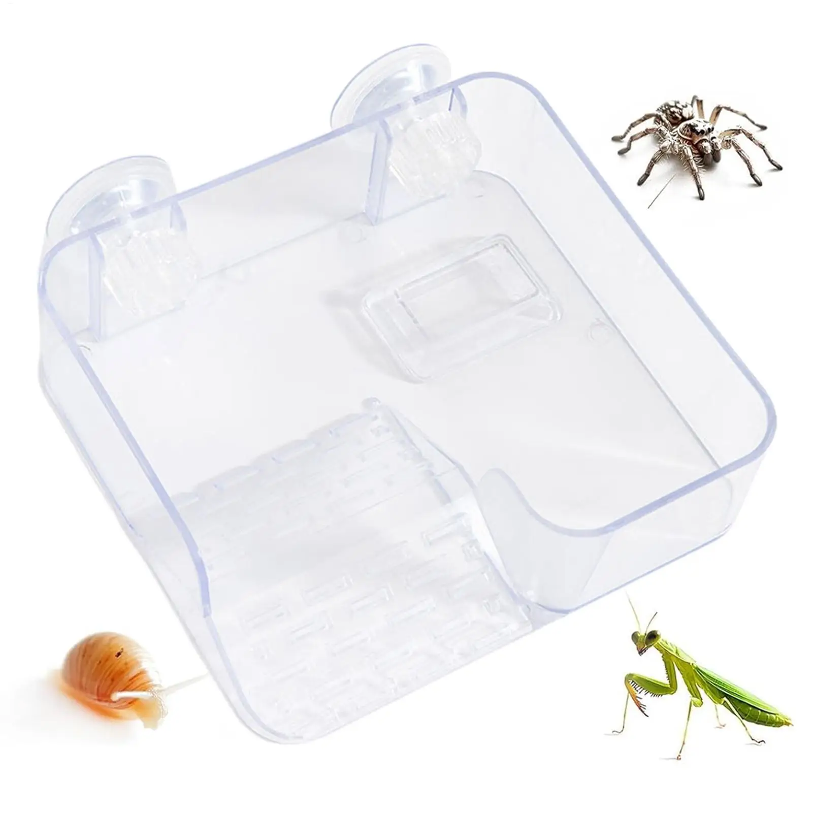 

Зона для горения для черепахи, присоска, прозрачная терраса, зона отдыха с регулируемой высотой для резервуара, среда обитания, рептилия, уход за домашними животными