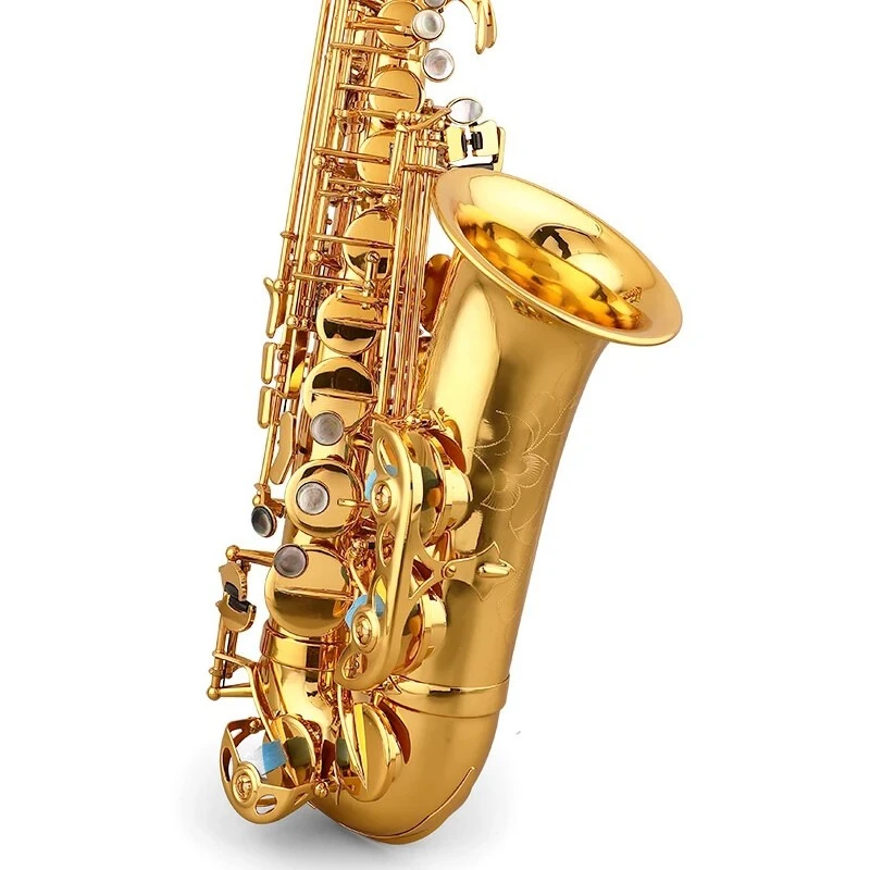

2026 hot new Gold Lacquer Eb Alto sax Alto Saxophone For Students Factory Price MAS-618 sax