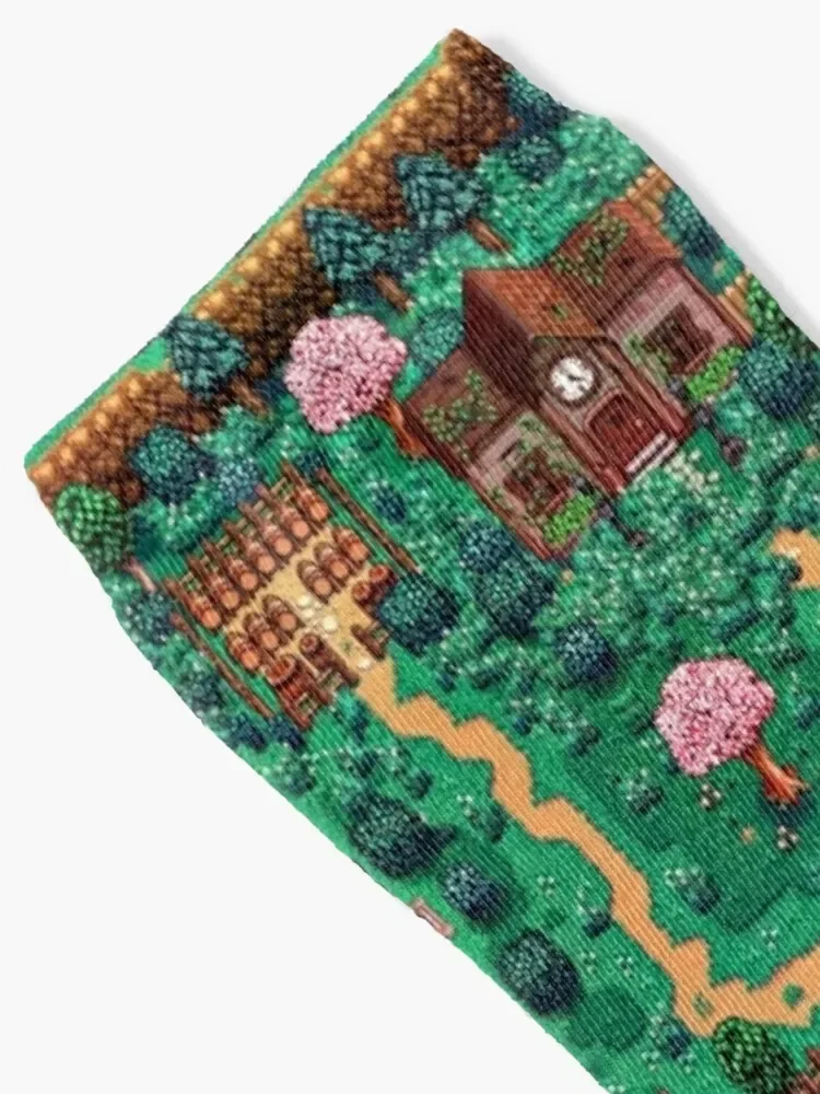 Stardew valley town map Socks Novelties summer floral cotton Socks Men Women's