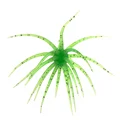 Green flash