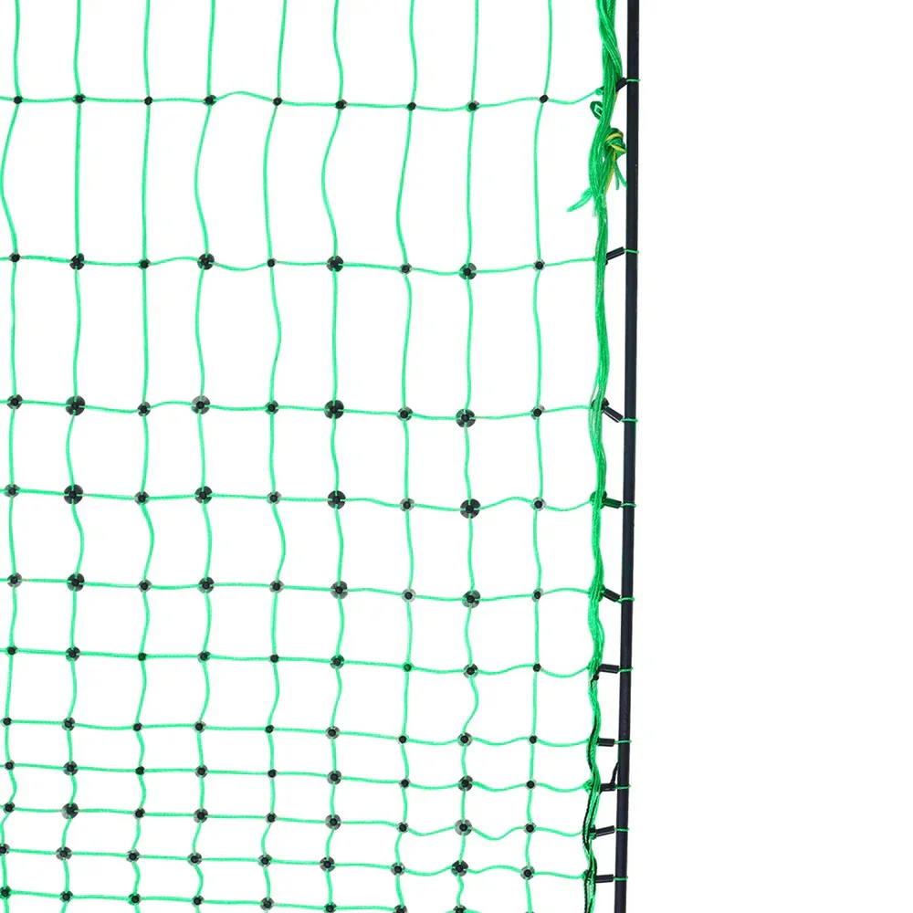 

3' Height 164' Length Green Electric Poultry Fence Net Double Pointed Sheep Netting Fence