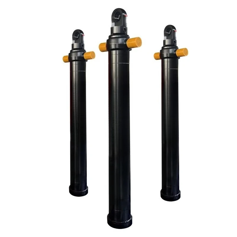 

Biaxial Hydraulic Cylinders for Scissor Elevators/Lifting Platforms in Multiple Industries Lift Hydraulic Cylinders
