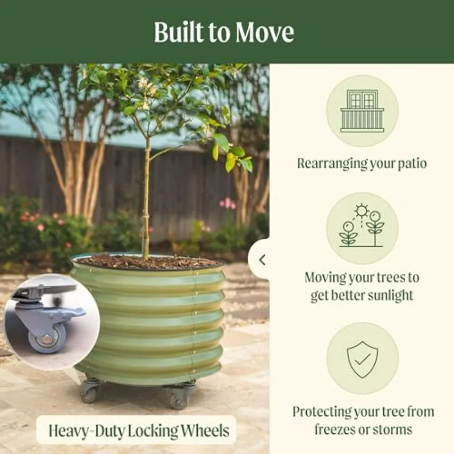 Rolling Metal Citrus Tree Planter for Outdoor Use, Pearl White Galvanized Steel Self-Watering Round Large Pot with Wheels, Idea