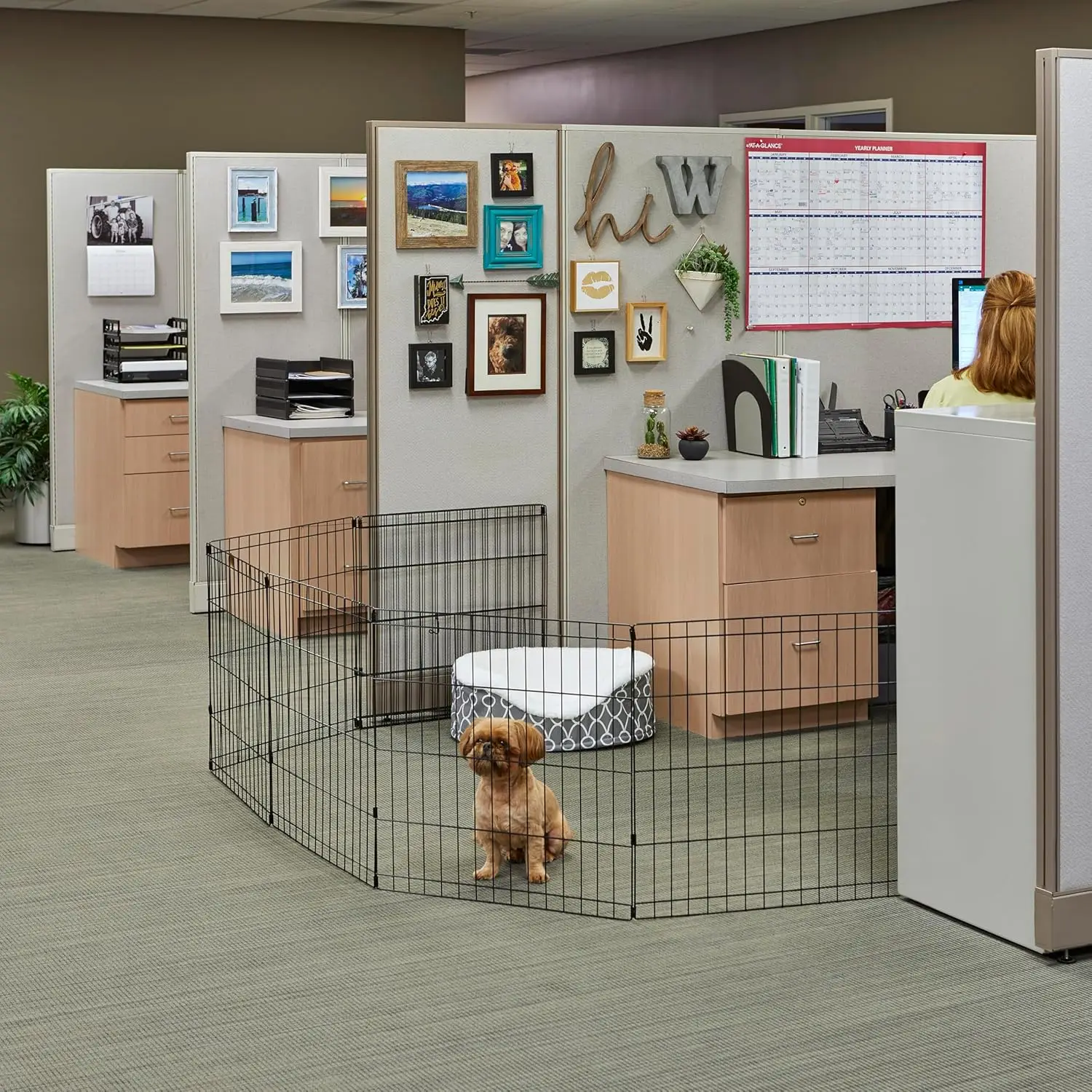 Folding Metal Dog Playpen, Indoor/Outdoor Exercise Pen with No Door, 16 Sq Ft Space, 30-Inch Tall, Black Finish