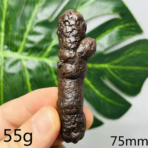 Egyptian Gem Lron Meteorite Natural Mineral Specimen Home Room Decoration Super Energy Collection Stone Spiritual Healing