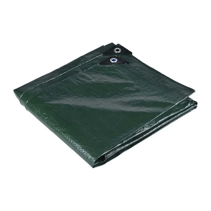 【From China】Green 100Gsm PE Tarpaulin Plain Roof Cover Waterproof Tarpaulin