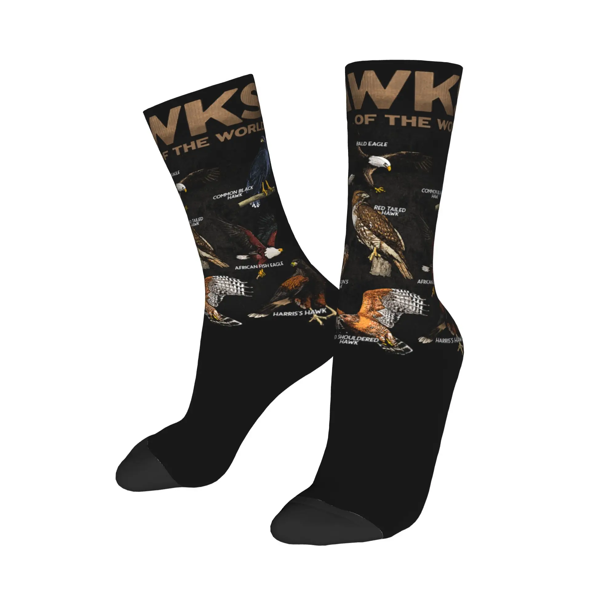 Parrots Bird Guide Different Parrot Species of The World Pet Socks Men's Women's Polyester Casual  Socks High Quality Socks