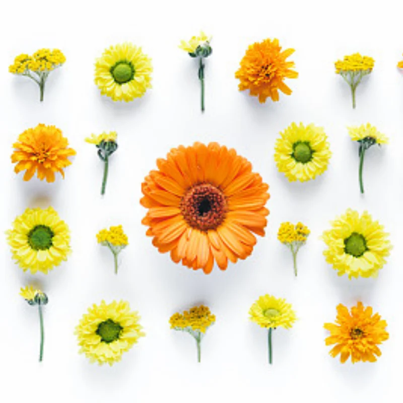 

Набор металлических деталей, кронштейн амортизатора и металлическая хвостовая балка для радиоуправляемого автомобиля для модели MN D90 D91 D96 MN98 99S