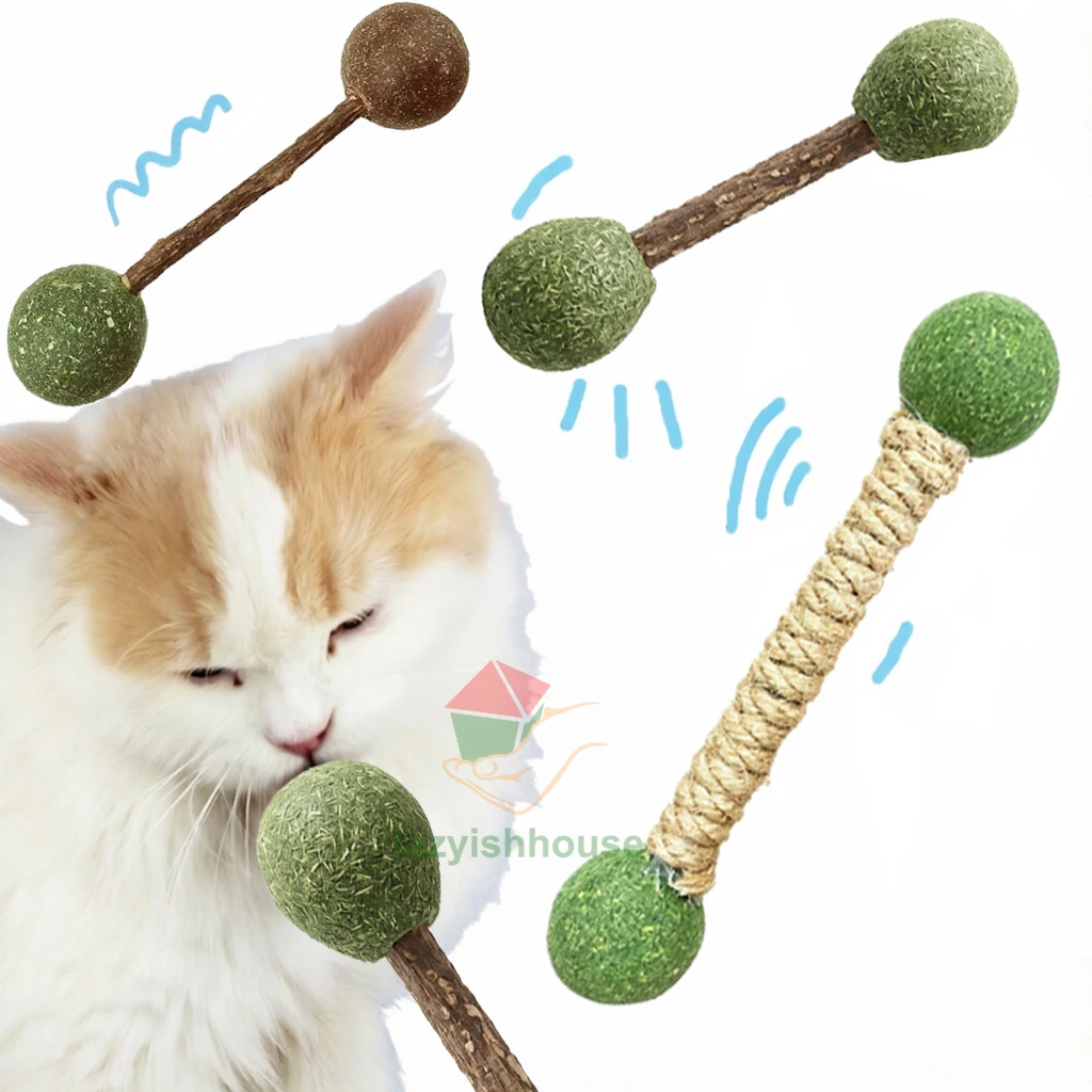 Reiner Natürlicher Katzenminze-Katzenzahnpflegestick zur Zahnreinigung, Silvervine Matatabi Katzensnack-Stick für Zahnpflege und Appetitanregung