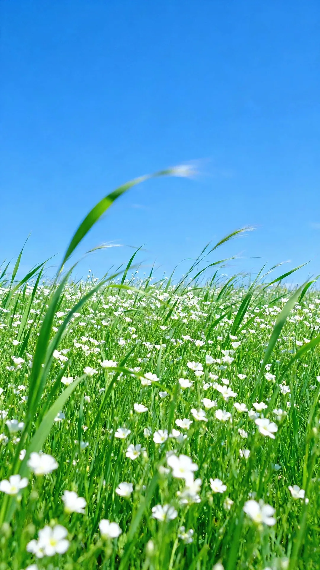 2026 Luxury Thermostatic Baby Spa Bathtub Whirlpool Freestanding Acrylic Bubble Massage Bath Tub