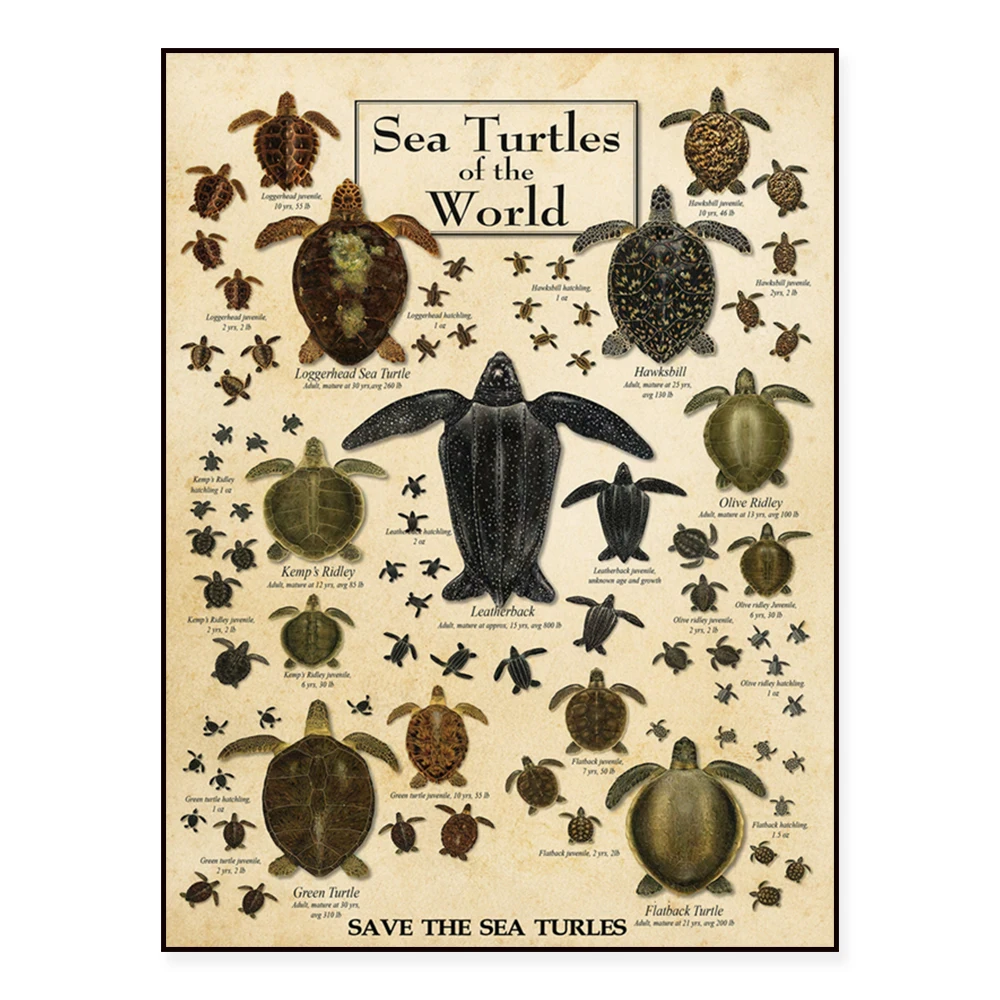 Earth Sky, Water Poster, World Turtle Frameless Poster, Sea Animals Wall Decor, Nursery and Beach Poster, Turtle Gift