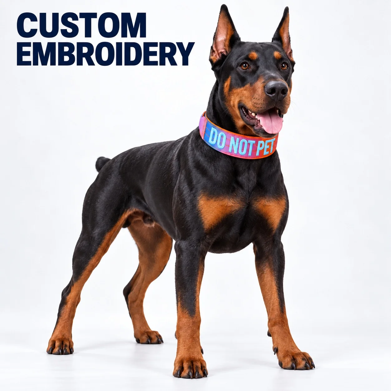 #44 Best Adjustable Pet Collars to Buy In 2026