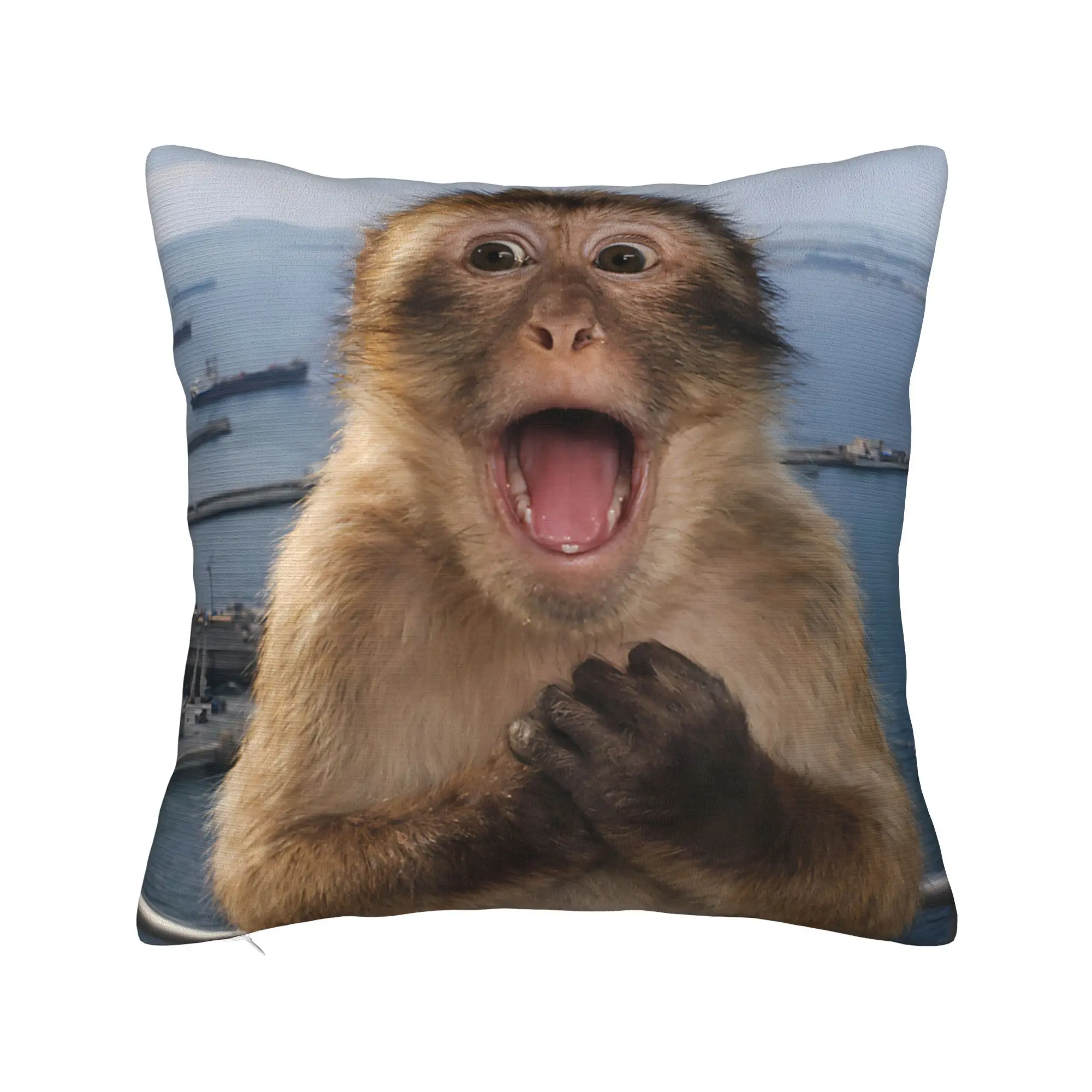 Thinking Monkey Meme  Pillow Covers Merch Printed Cushion Cover Decor  Pillow Case Cover Home Multiple Sizes