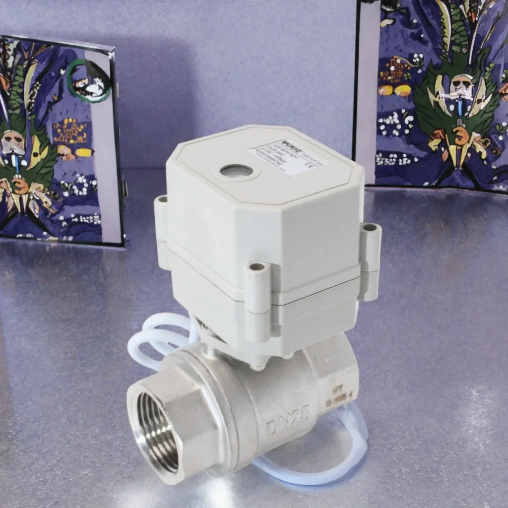 Mini Electric Stainless Steel Ball Valve Manual Control for Water & Gas for Agricultural Irrigation & Oil OEM Customizable