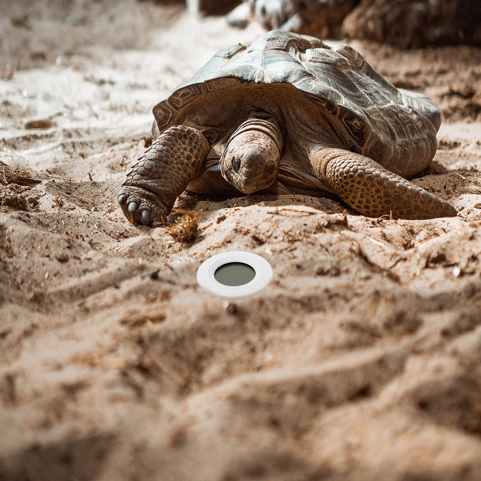 Termometro digitale rotondo da 2 pezzi Misuratore di umidità Igrometro di temperatura Supporto da parete portatile per interni per ufficio domestico