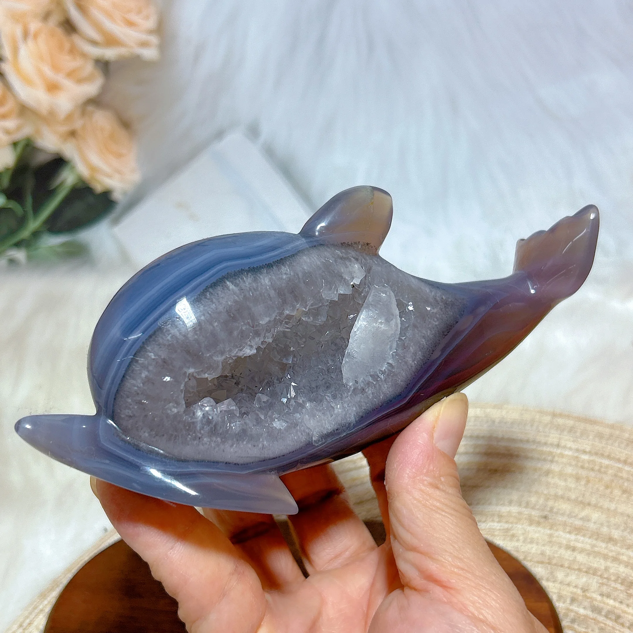 Natural Crystal Agate Druzy Geode Dolphin Carving High Quality Healing Gemstones Energy Reiki Home Decorations Room Decor Gift