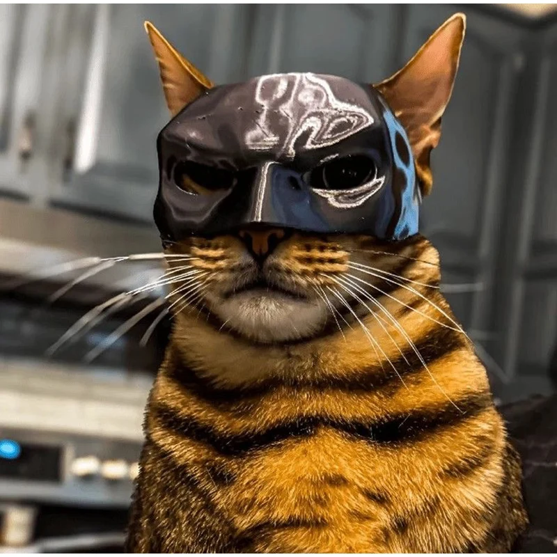 Batman Costume For Cats AliExpress