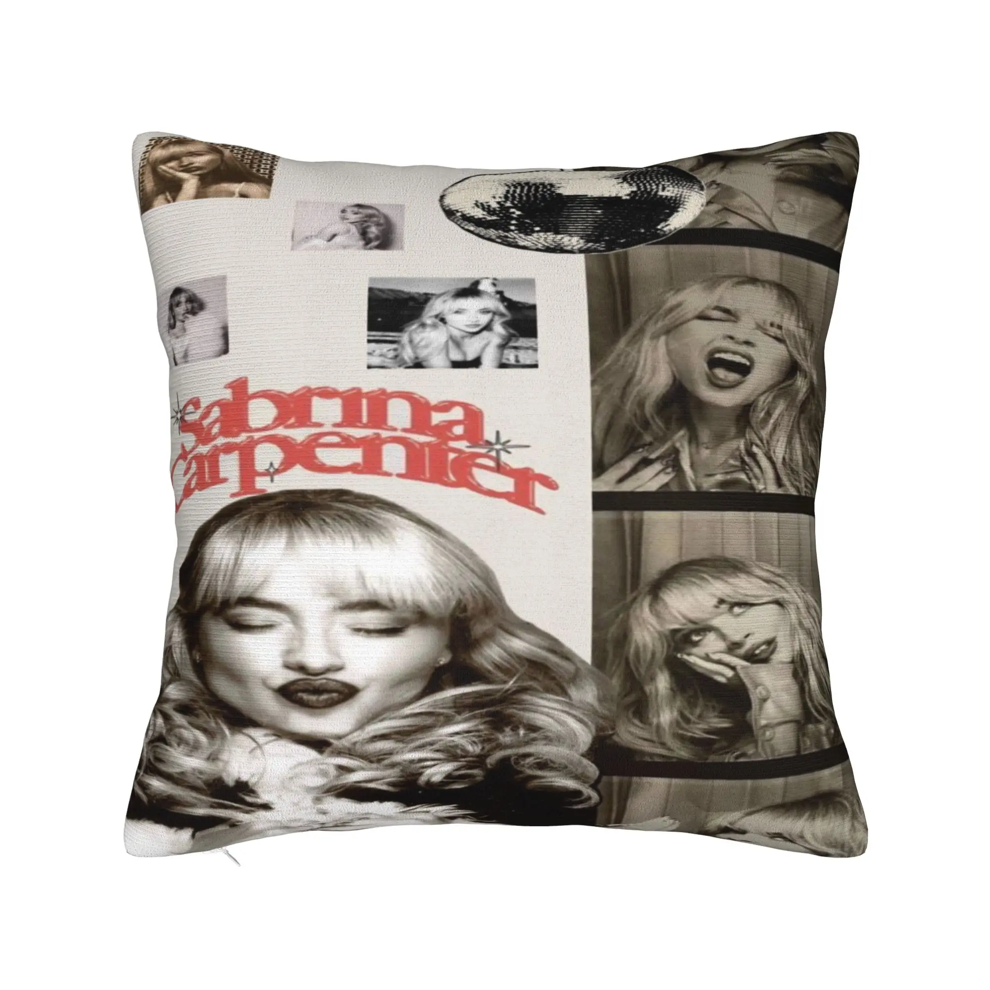 

Сабрина, плотник, наволочка с принтом, наволочка, наволочки, новый стиль, декор для кровати, квадратный, несколько размеров