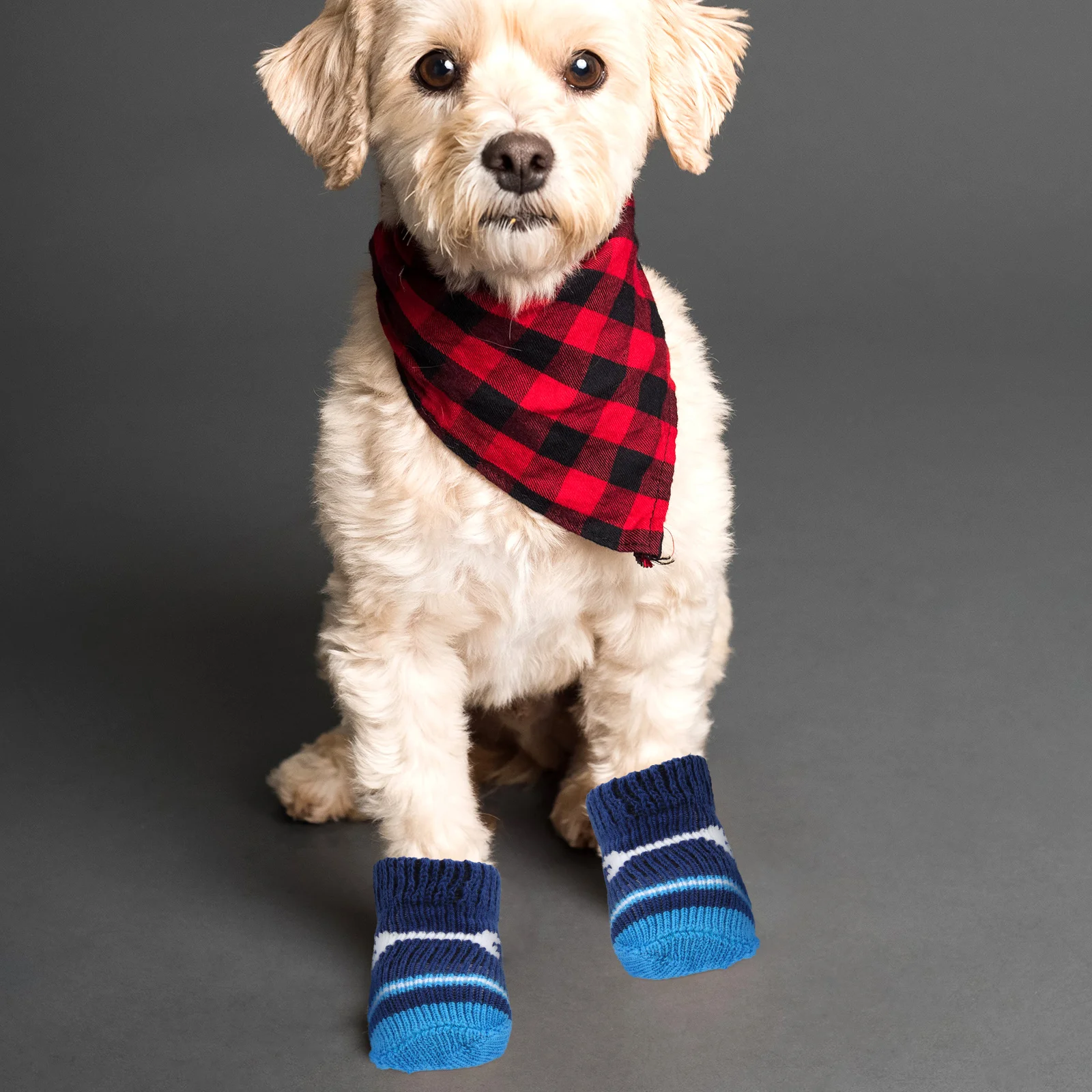

2 Pairs Pet Socks Non Slip Sole Design Washable Paw Protectors Replaceable Cotton Dog Supplies Small Dogs Poodle Warm