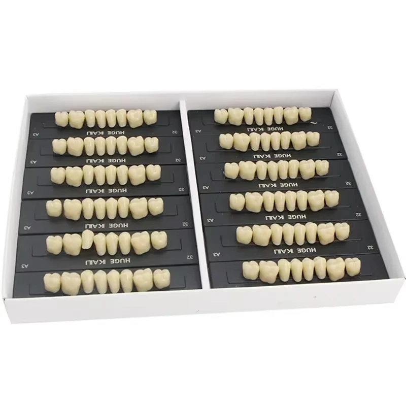 Fotografia 5: 1 Caixa de Dentes de Resina Dental, Dentes de Resina Acrílica Sintética A1 A2 A3, Próteses Dentárias Pré-formadas para Arcada Superior e Inferior, Suprimentos Odontológicos