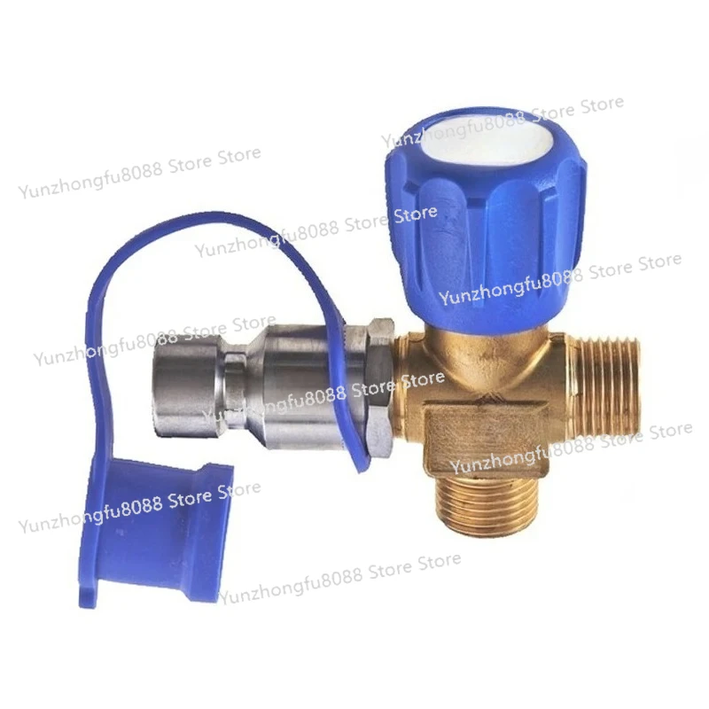 

Inflation Valve Automobile Oil To Gas Filling Port Natural Gas