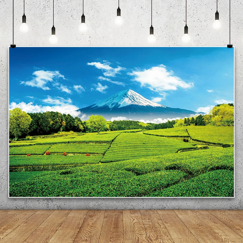 المناظر الطبيعية صورة خلفية الربيع السماء الزرقاء الغيوم البيضاء الجبال الأشجار نهر المناظر الطبيعية الخلابة التصوير خلفية استوديو الصور