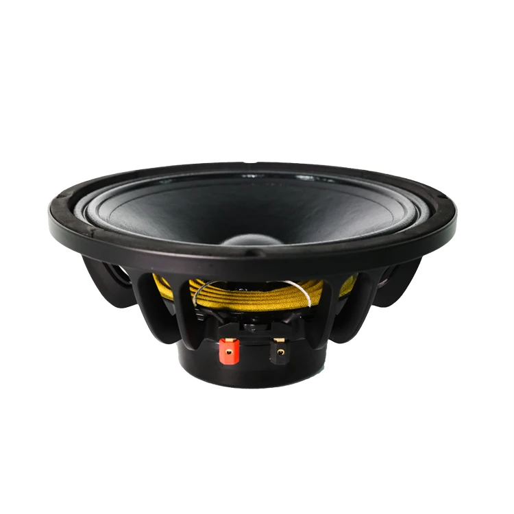 Neodymium 10 Inch Alto Woofer Price 300W Woofer De 10 Pulgadas