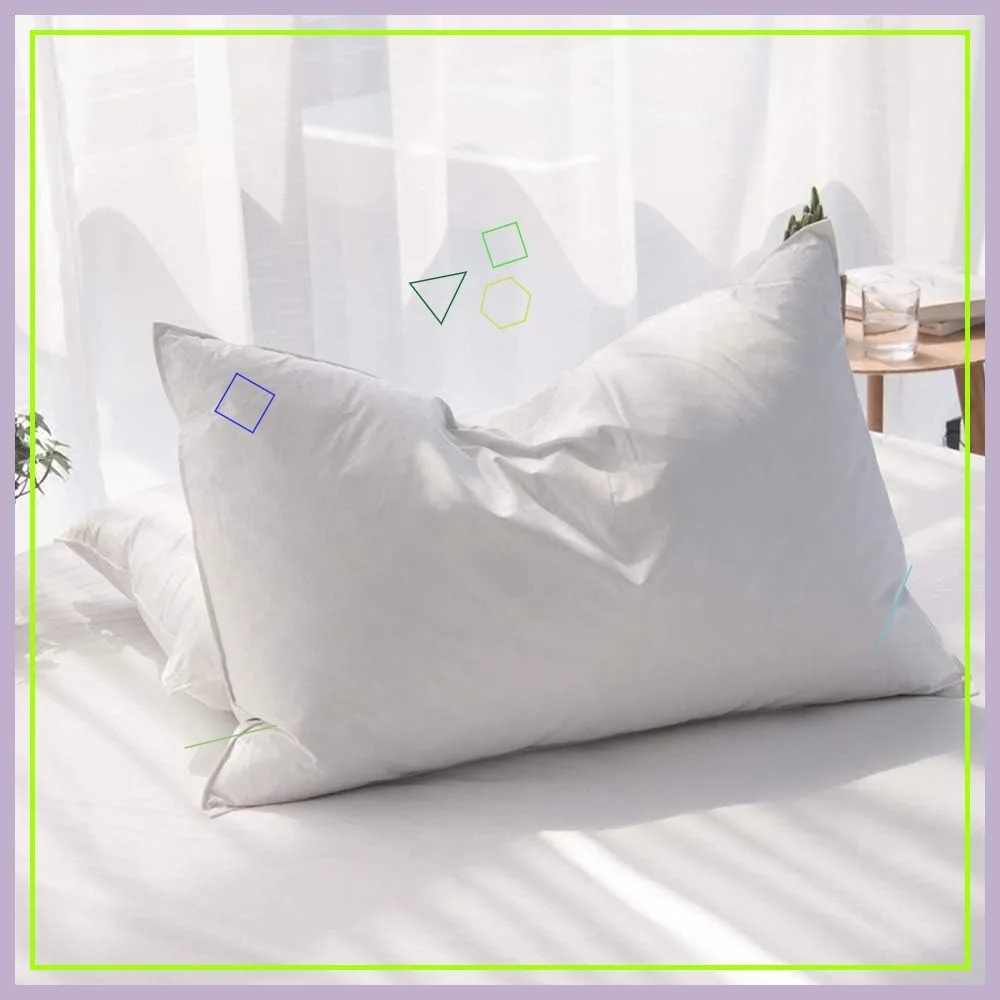 

Luxury Feathers Down Pillows Queen Size Set of 2, Hotel Quality Fluffy Bed Pillows, Soft Cotton Cover (20x28")