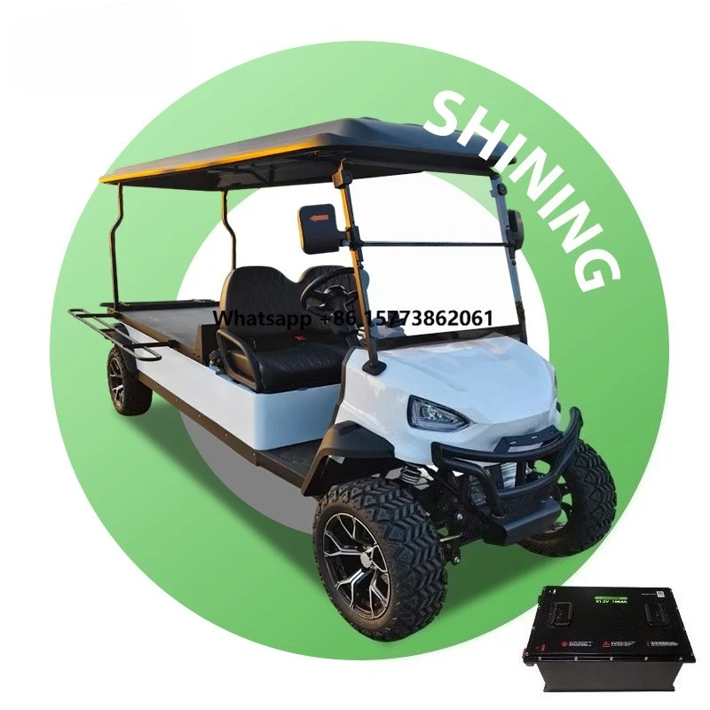 lsv 48V Lithium Battery Solo Electric Golf Cart Customization Flatbed 7KW AC Motor 30-50km/h Speed Made Durable Metal