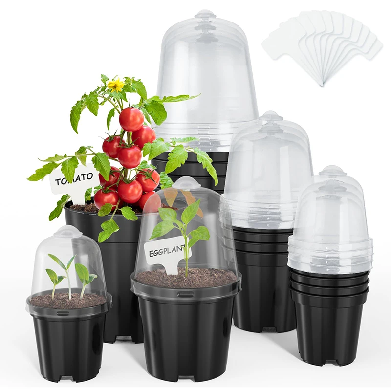 Nursery Pots Flowerpot Gardening Seedlings Home and Garden Mini Pot Plant Indoor Bonsai Seeds Succulent Small Plants