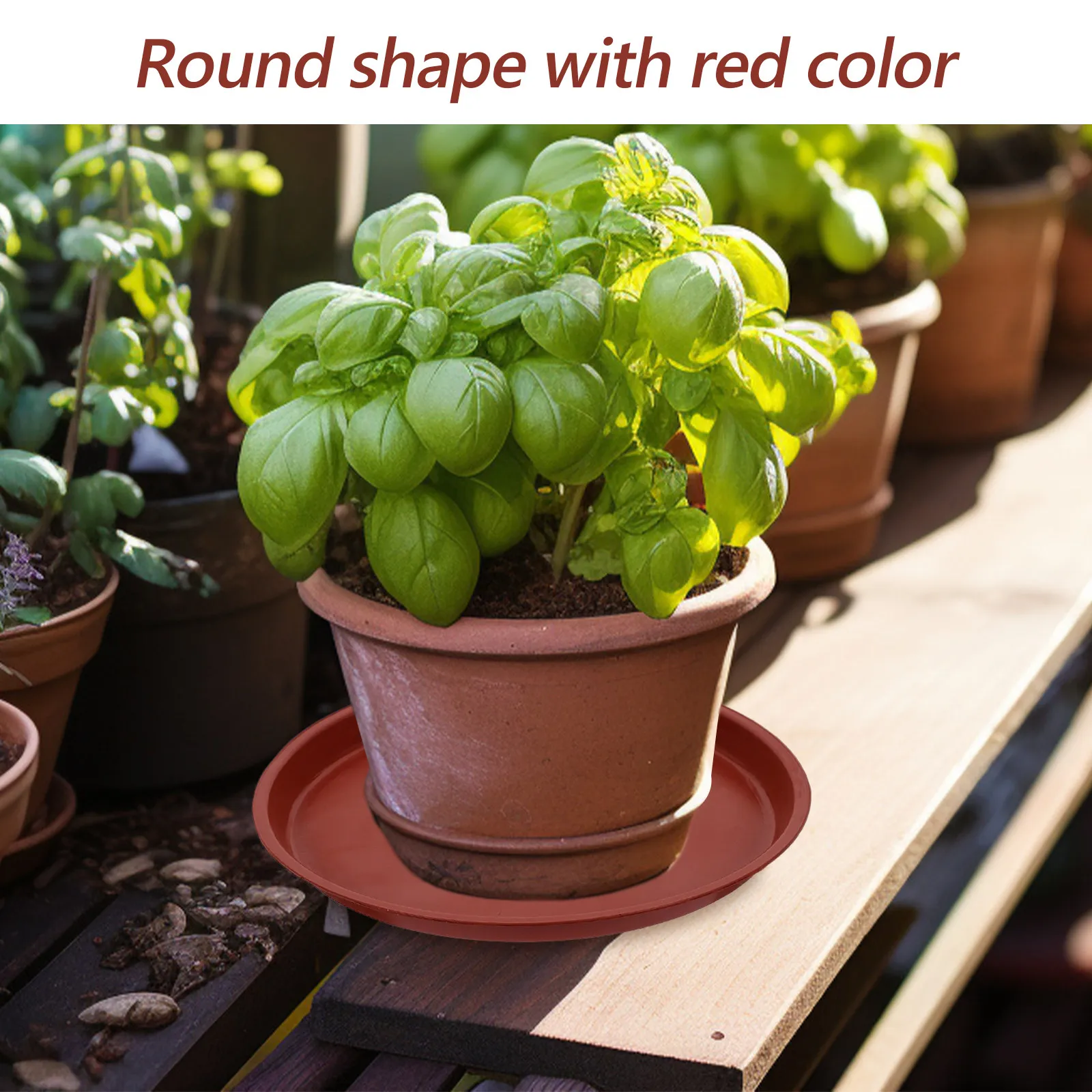 20Pcs Red Plastic Pot Saucer 200Mm Round Drip Tray for Ceramic Basins Bonsai Plants Indoor Garden Balcony Spill Proof Surface