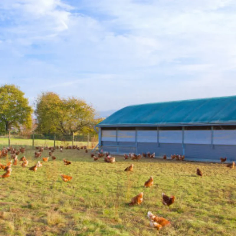 Legierung Roboter DIY Auto Chassis DIY Auto Roboter mit TT Motor Set 1 Schicht RC Tank Chassis Baustein Motor 3-9v Crawler Smart