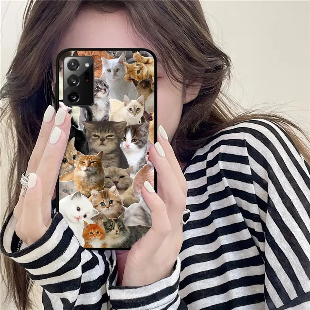 Crying Cat Memes Phone Case For Samsung Note 8 9 10 20 pro plus lite M 10 11 20 30 21 31 51 A 21 22 42 02 03