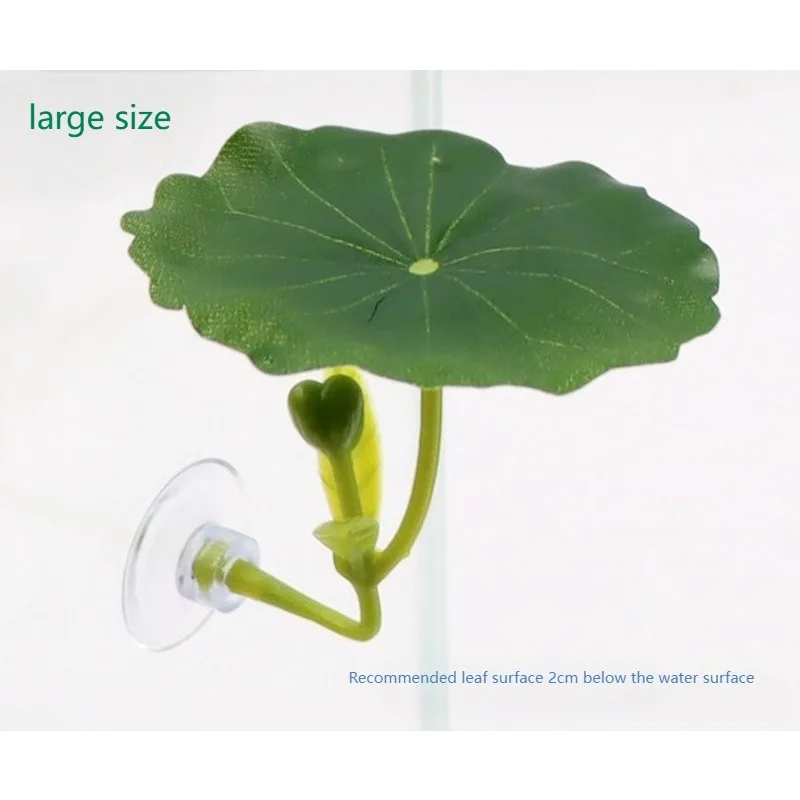 #15 Cheap Decorative Aquarium Plants Worth Buying