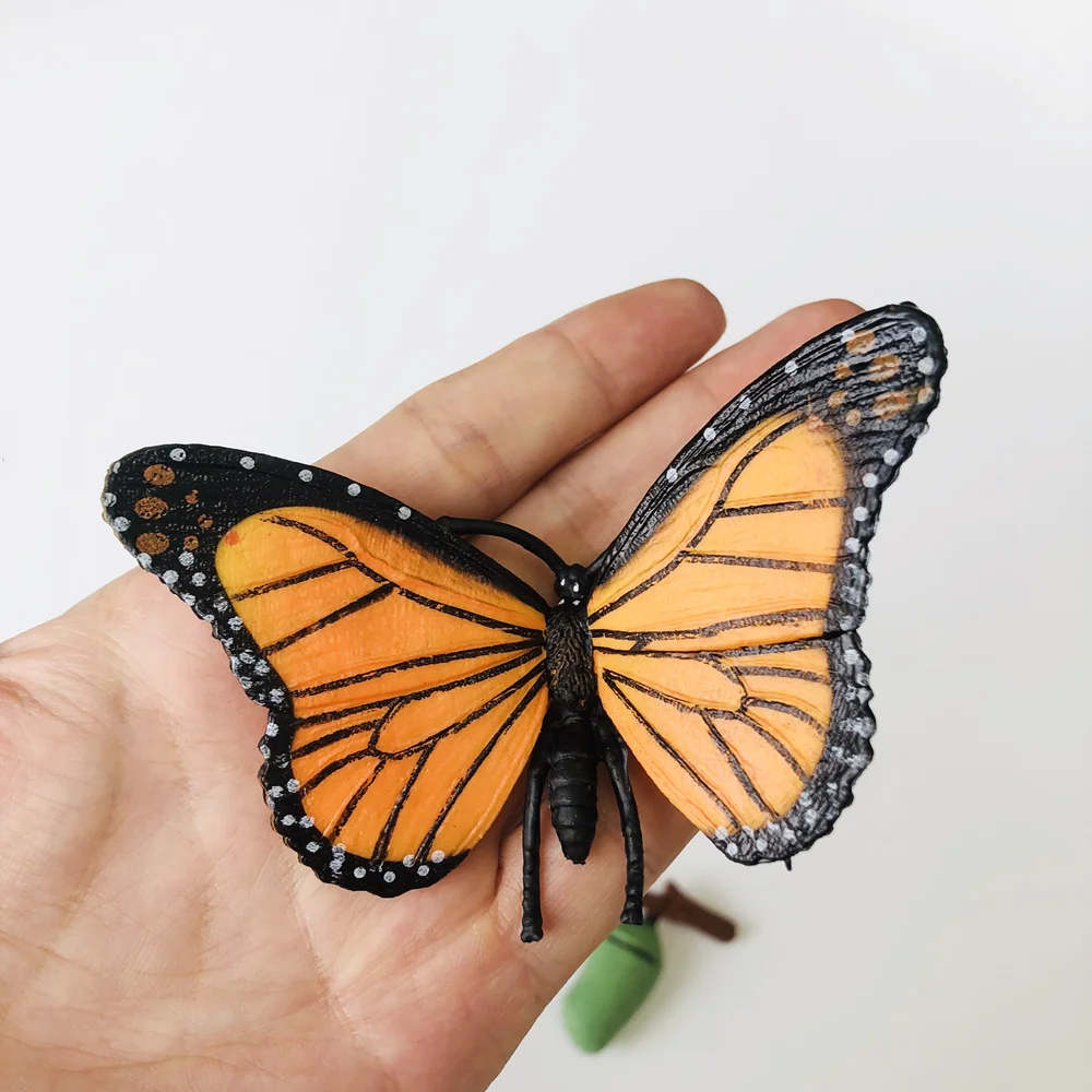 Ciclo de vida da borboleta jogo de ciclo de crescimento com cartões cognitivos montessori brinquedos educativos materiais de biologia ferramentas de aprendizagem precoce