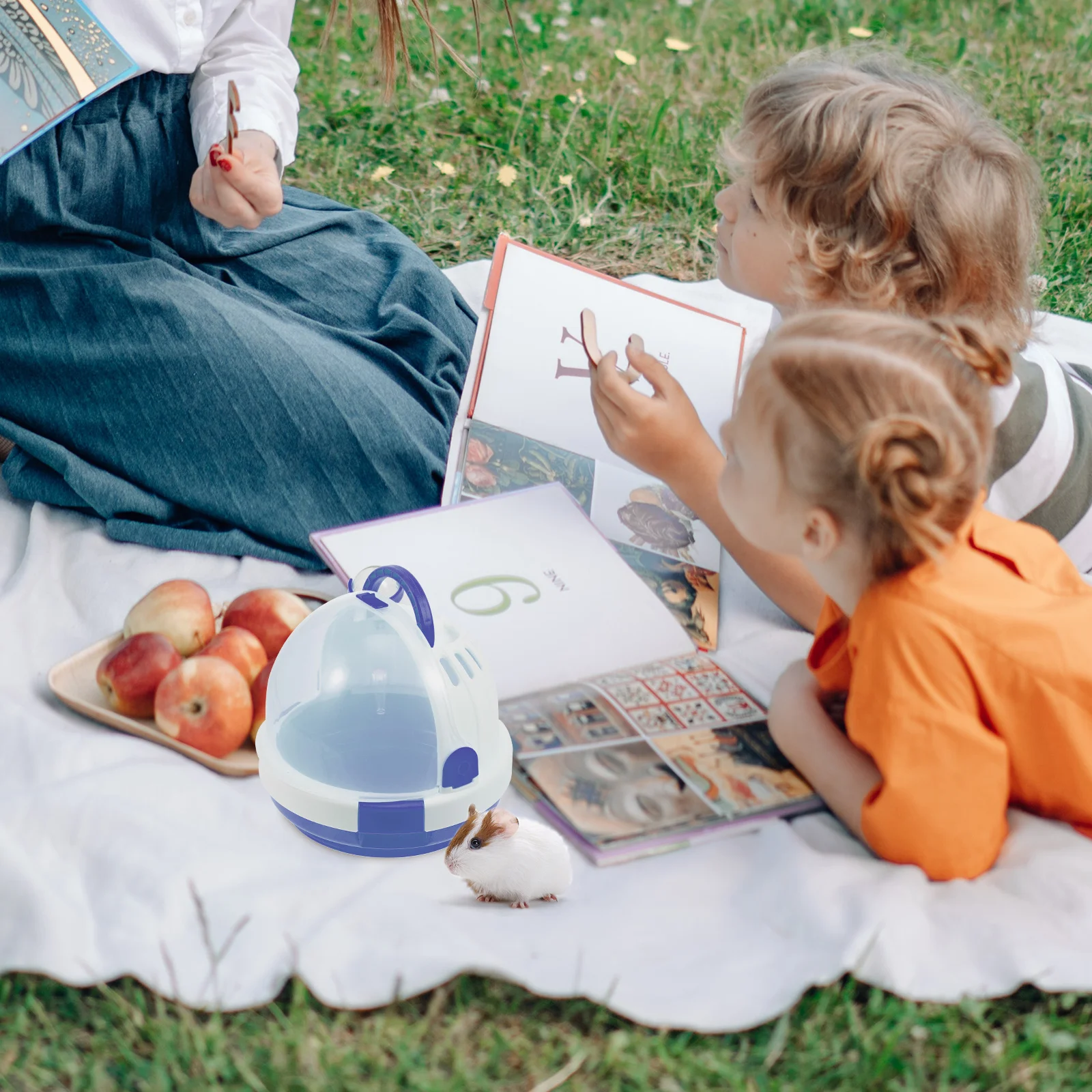 

Hamster Cage Portable Pet Carrier For Hedgehog Rabbit Chinchilla Travel Container Durable Small Animal