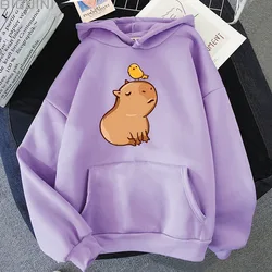 Capybara with His Bird Friend Hoodies Women Kawaii Animal Cartoon Graphic Sweatshirt Boys/girls Long Sleeve Mens Top Y2k Clothes