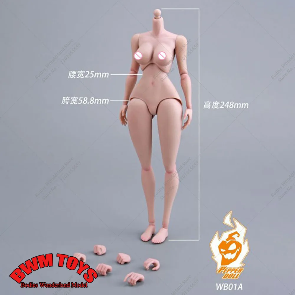 WB01A Muñeca de pimiento coleccionable a escala 1/6, cuerpo de mujer de 248mm con modelo de articulación móvil para figura de acción femenina de 12 pulgadas