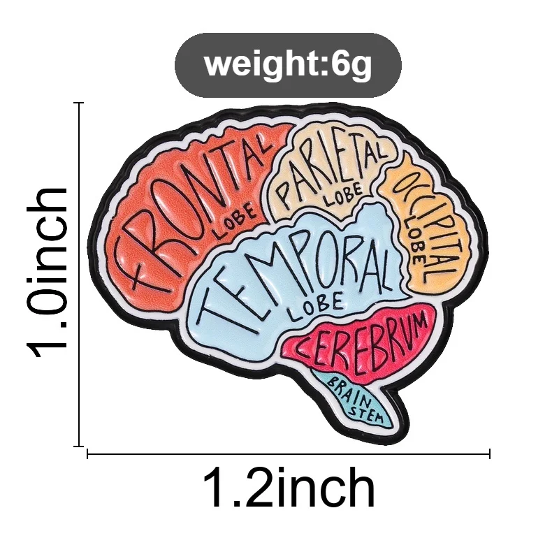 Brain Anatomy Lobes Cerebrum Stem Enamel Badge Science Education Diagram Alloy Pin Brooch Jewelry Gifts For Medical Student 6