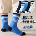 color23(5 pairs)
