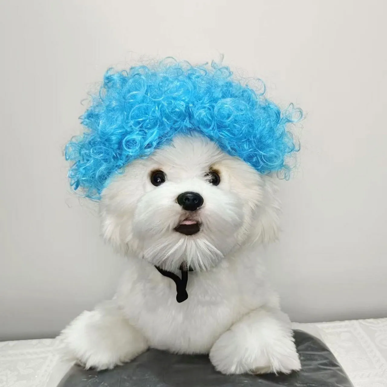 Dogs Cats Headdress Funny Pet Wigs Bangs Exploding Head Braids Straight Hair Nylon Fibre Material Halloween Pet Accessories