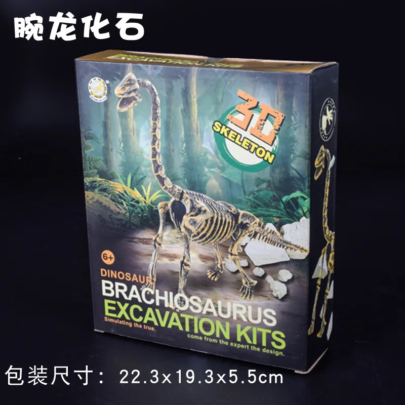Archeologia dla dzieci - Niespodzianka: Foszyla dinozaura, Szkielet Triceratopsa, Model do samodzielnego montażu, Ręcznie robione zabawki do kopania dla chłopców, dekoracja