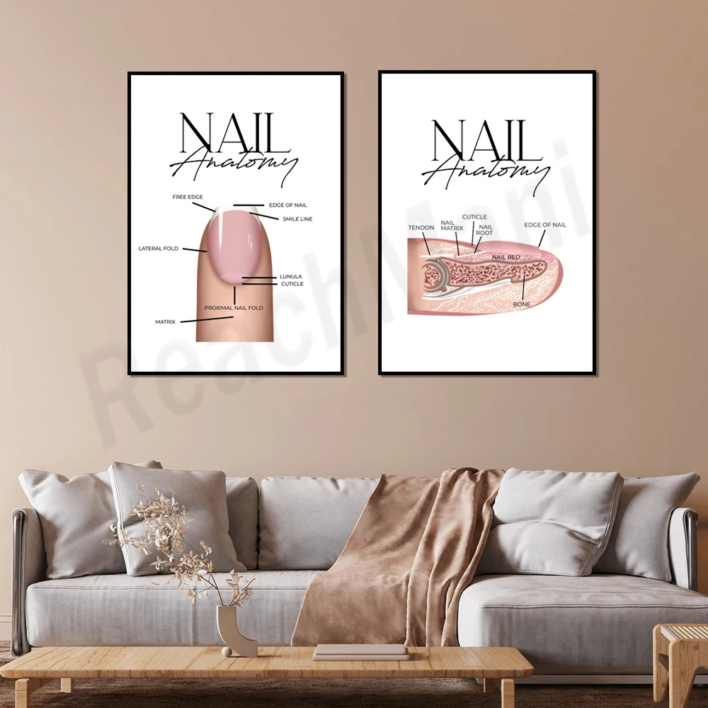 Nail anatomy, nail interior printing, salon art, manicurist wall decoration poster