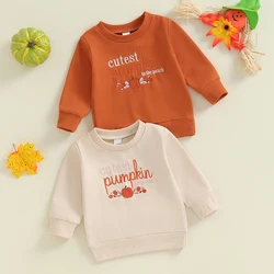 2024-05-31 Lioraitiin Little Boys Halloween Casual Sweatshirts Long Sleeve O Neck Letter Pumpkin Embroidery Pullover