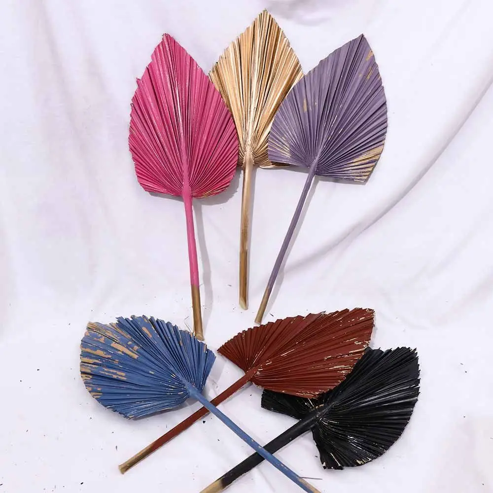 1 Pcs Bohemian Tropical Fan Leaf Colorful Palm Spears Dried Plant DIY Natural Trimmed Party Decoration Leaves